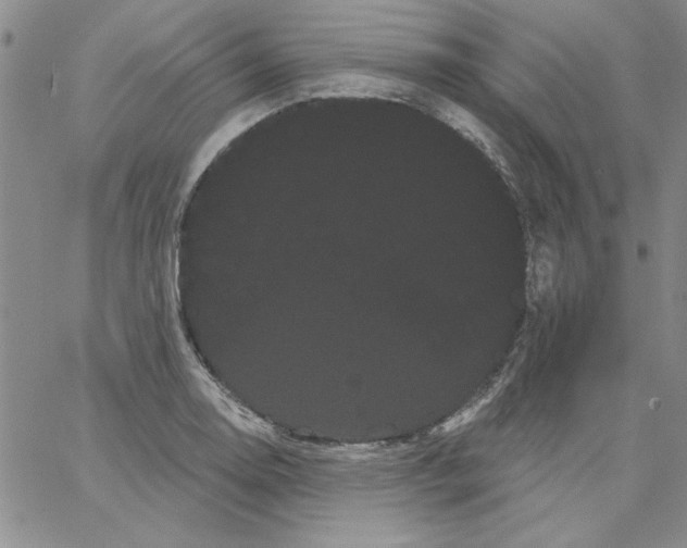 X0000066121130200604071905