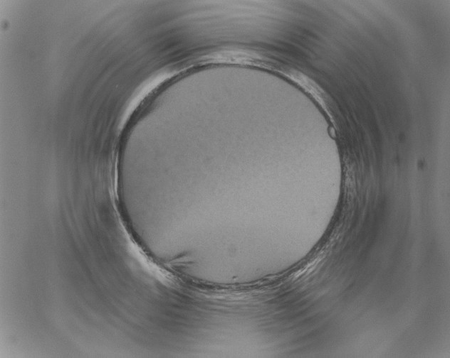 X0000066121131200604071905