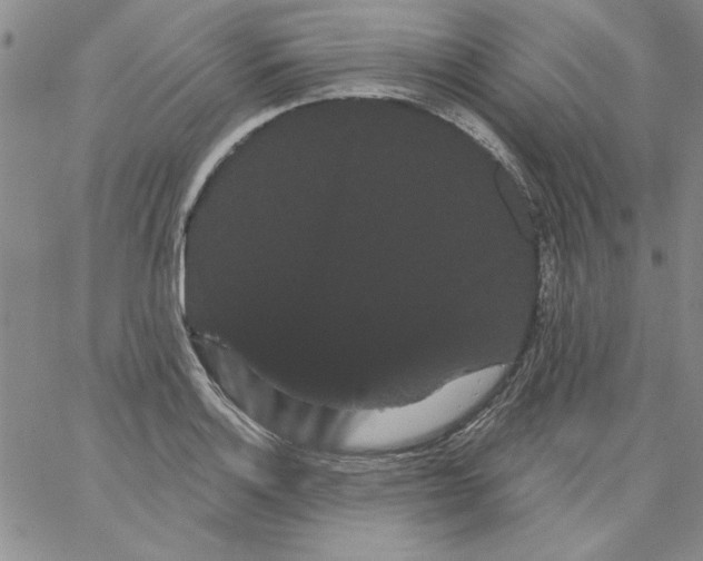 X0000066121132200604071905