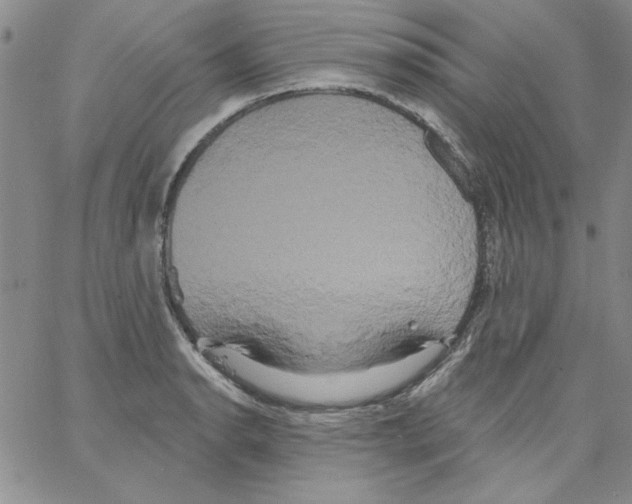 X0000066121134200604071905