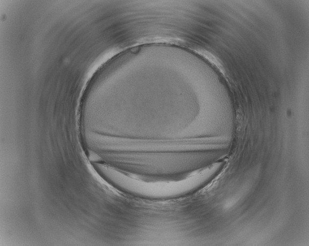 X0000066121135200604071905