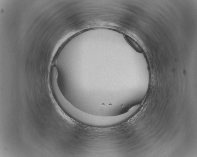 X0000066121136200604071905