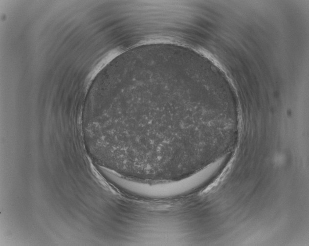 X0000066121137200604071905