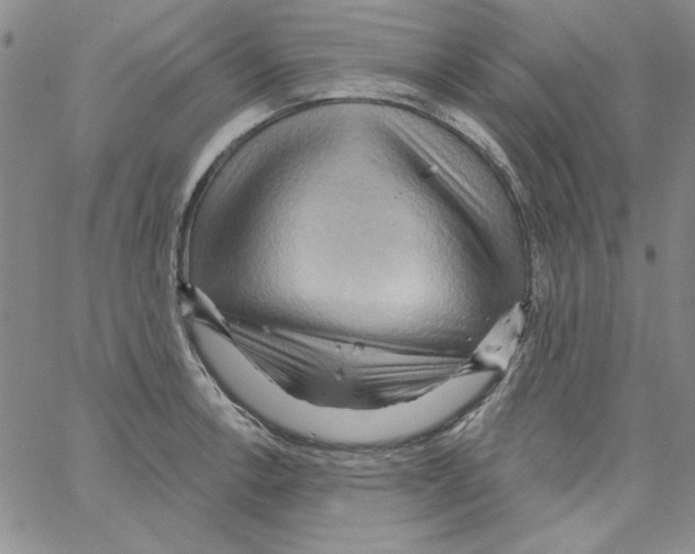 X0000066121138200604071905