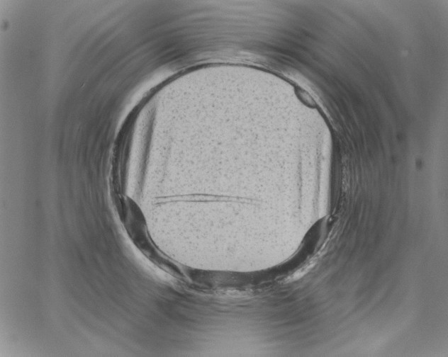 X0000066121139200604071905