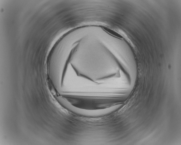 X0000066121140200604071905