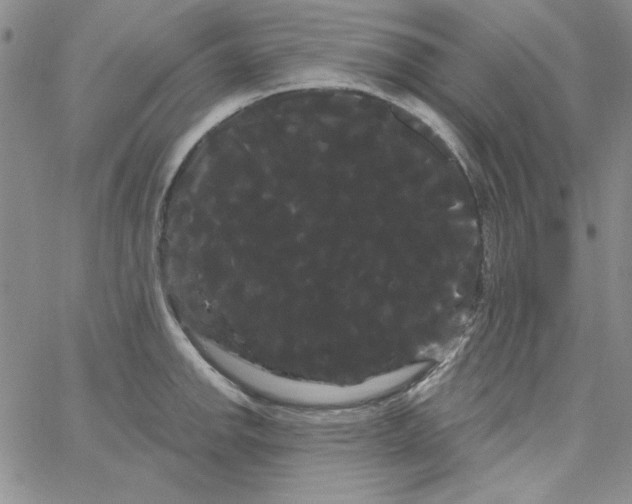 X0000066121142200604071905