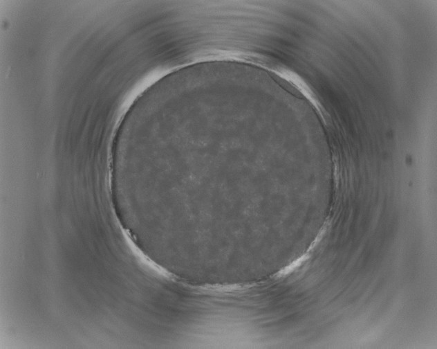 X0000066121143200604071905