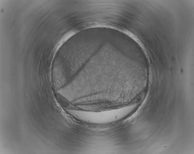 X0000066121145200604071905