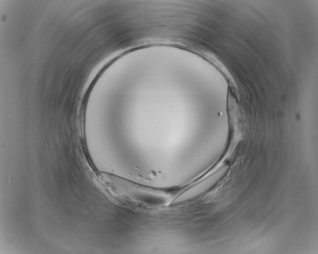 X0000066121148200604071906