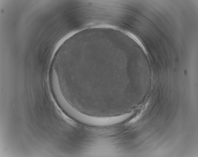 X0000066121149200604071906