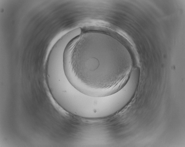 X0000066121152200604071906