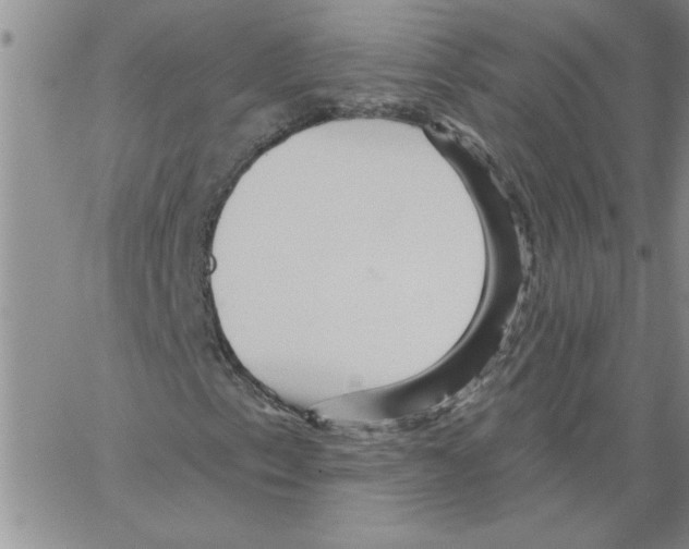 X0000066121153200604071905