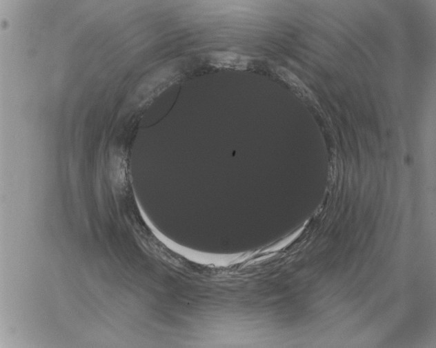 X0000066121154200604071905