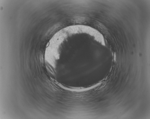 X0000066121155200604071905