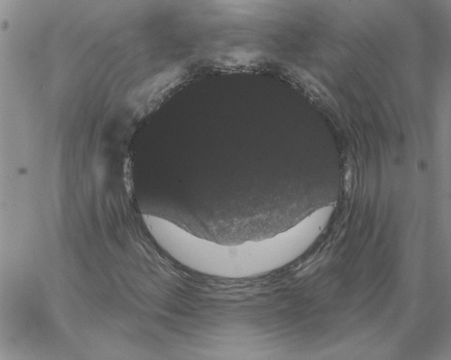 X0000066121156200604071905