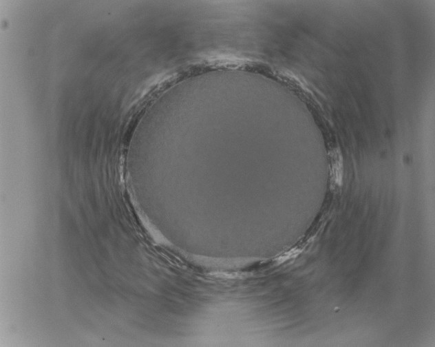 X0000066121157200604071905