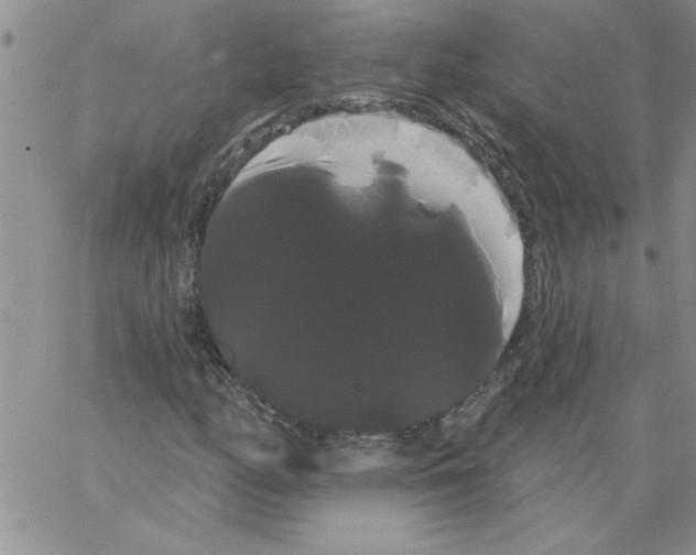 X0000066121158200604071905