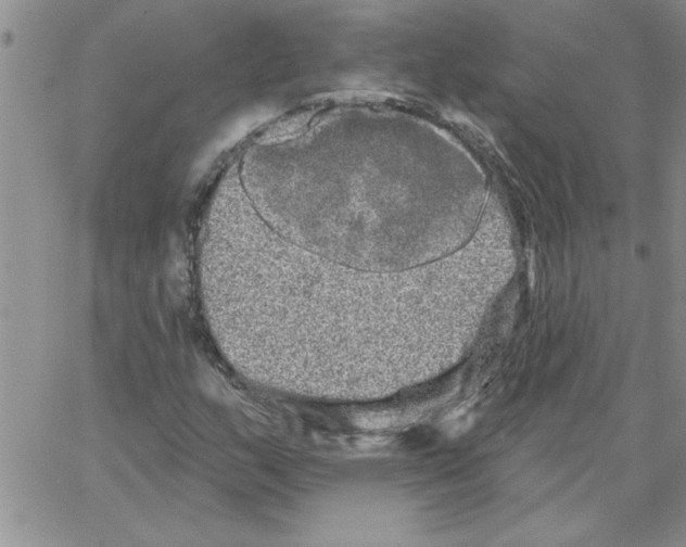 X0000066121159200604071905