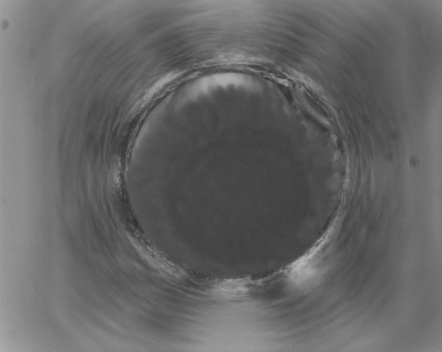 X0000066121161200604071905