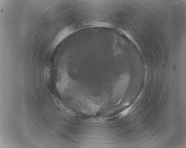 X0000066121163200604071905