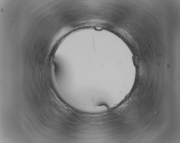 X0000066121164200604071905