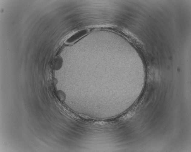 X0000066121169200604071905