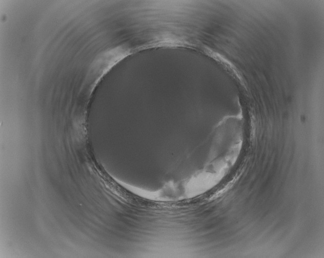 X0000066121170200604071905