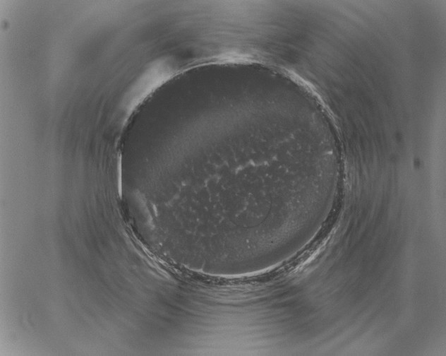 X0000066121171200604071905