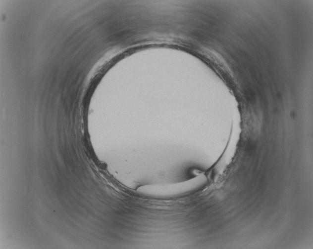 X0000066121172200604071905