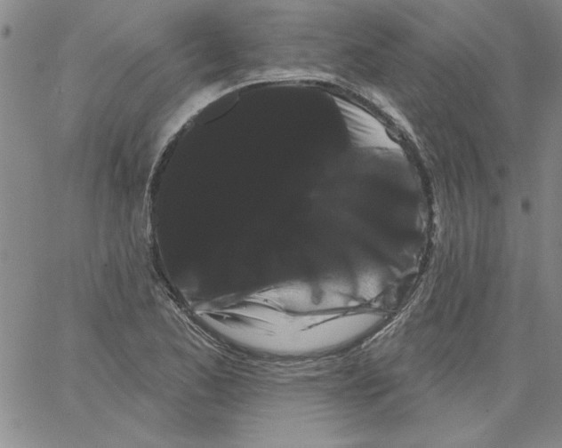 X0000066121173200604071904