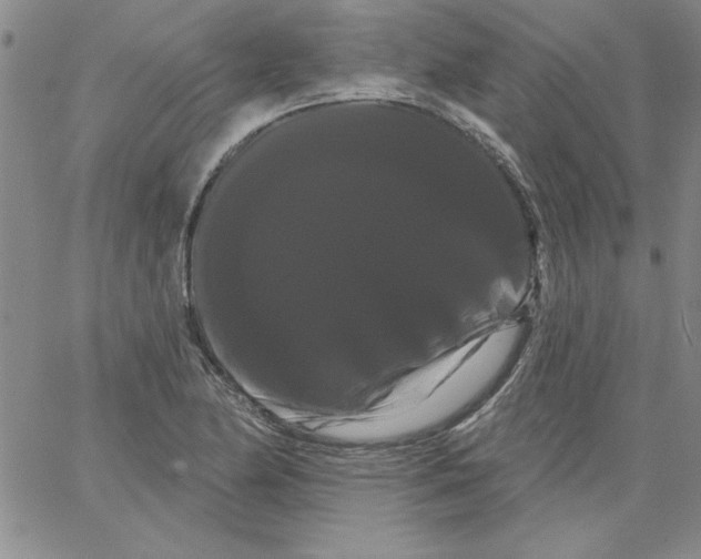 X0000066121174200604071904