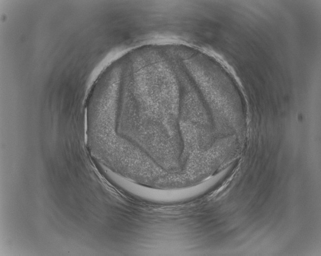 X0000066121175200604071904