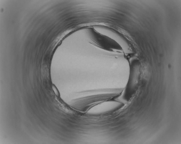 X0000066121177200604071904