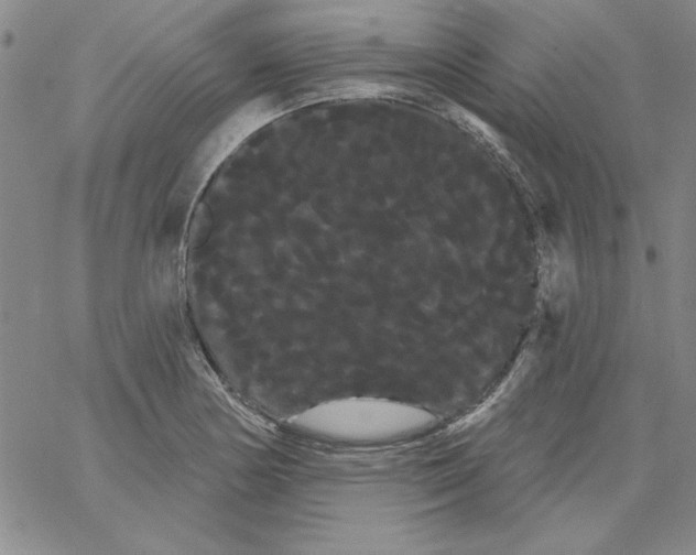 X0000066121178200604071904