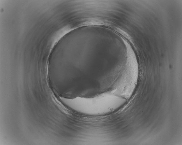 X0000066121179200604071904