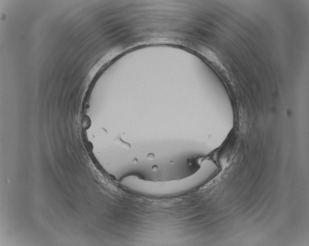 X0000066121181200604071904