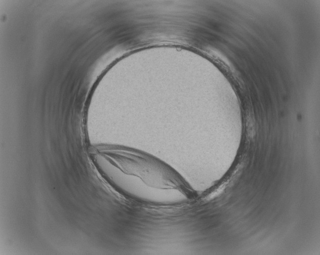 X0000066121182200604071904