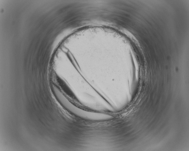 X0000066121183200604071904