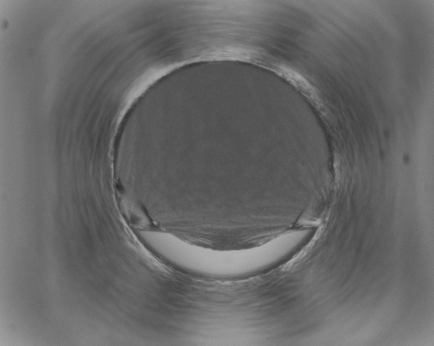 X0000066121184200604071904