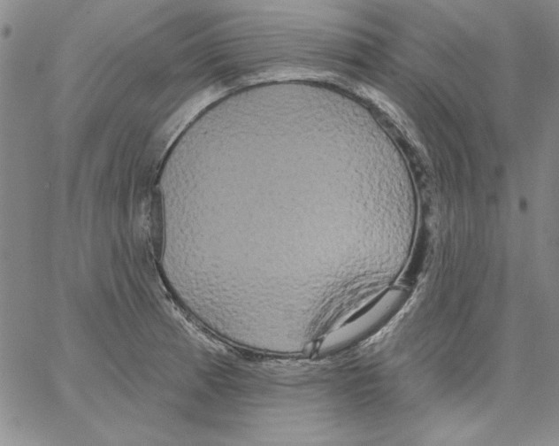 X0000066121185200604071904