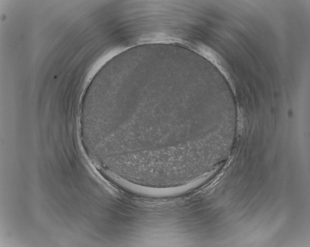 X0000066121187200604071904