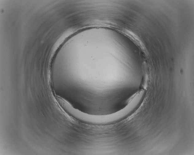 X0000066121188200604071904