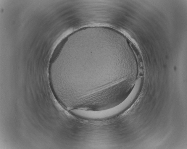 X0000066121189200604071904