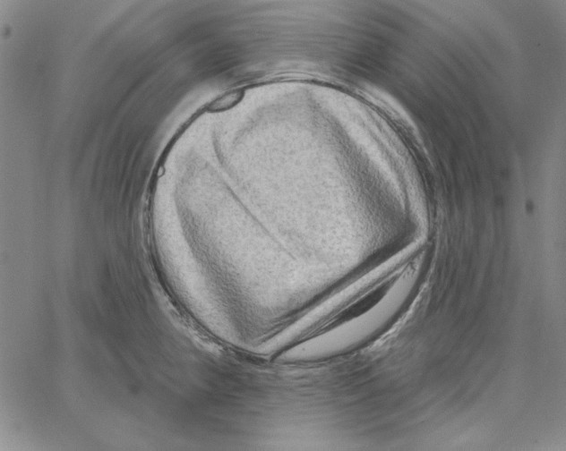 X0000066121190200604071904