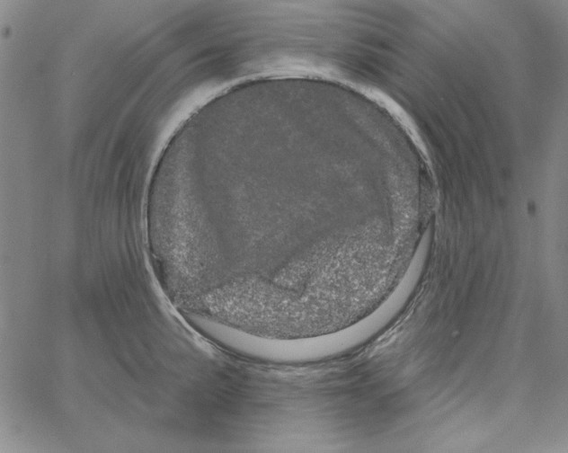 X0000066121191200604071904