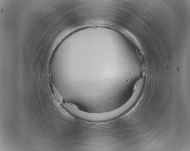 X0000066121192200604071904