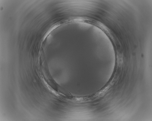 X0000066121194200604071904