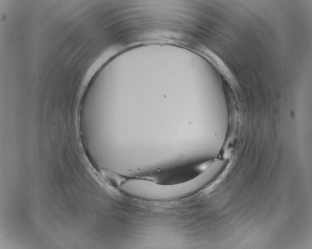 X0000066121196200604071904