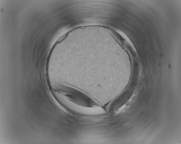 X0000066121197200604071904